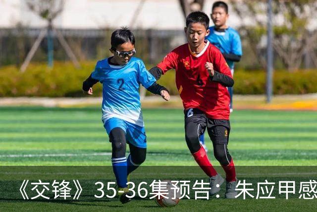 《交锋》35-36集预告：朱应甲感觉自己要被淘汰了，吴金鹤劝林看山去自首