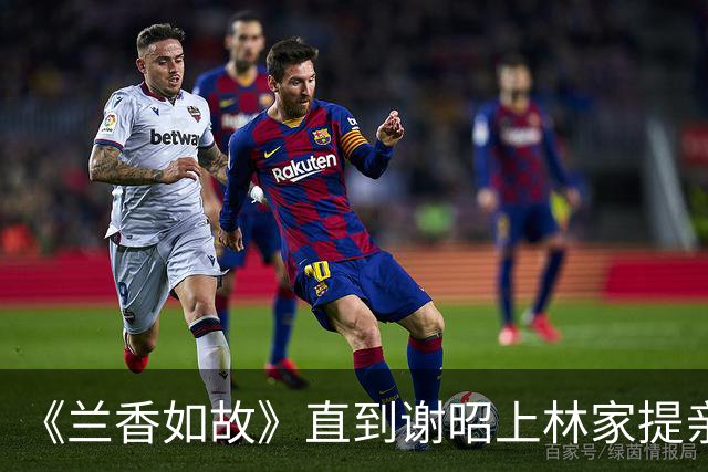 《兰香如故》直到谢昭上林家提亲，才知：林绣芄和谢昭在一起也不会幸福