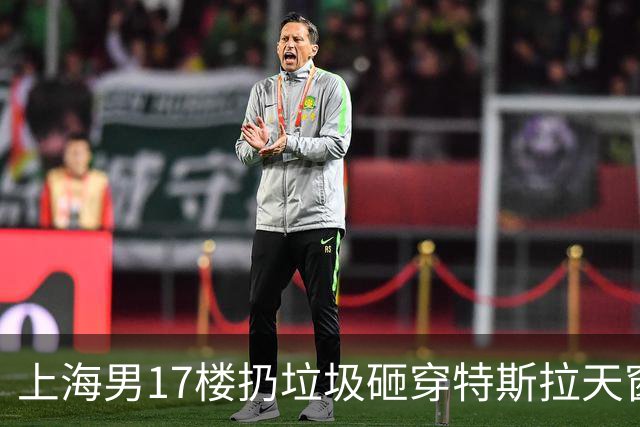 上海男17楼扔垃圾砸穿特斯拉天窗！事后问AI怎么脱责！已刑拘！