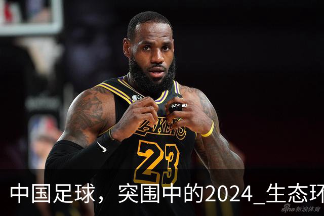 中国足球，突围中的2024 生态环境将实现好转