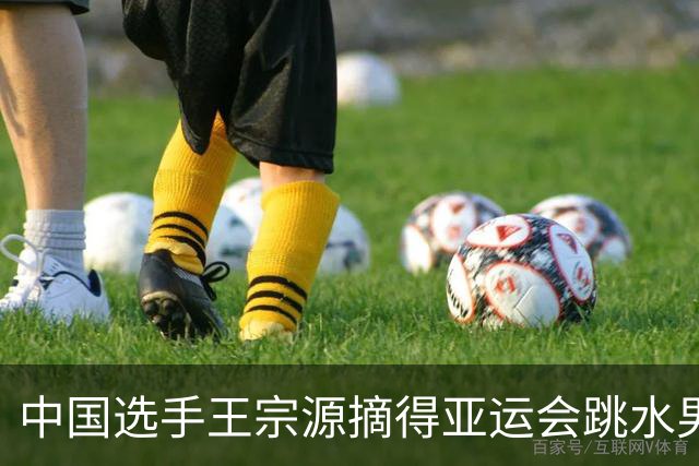 中国选手王宗源摘得亚运会跳水男子1米板金牌