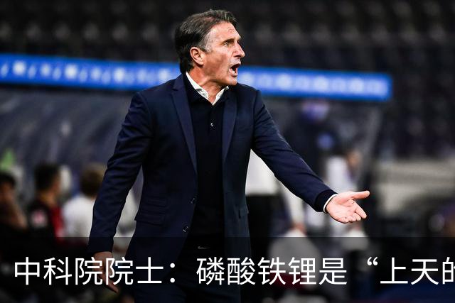 中科院院士：磷酸铁锂是“上天的礼物”，现在电车很好不必等固态