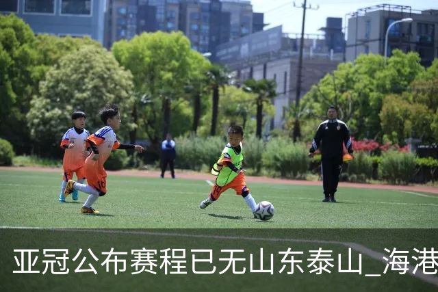 亚冠公布赛程已无山东泰山 海港若递补将赴泰国