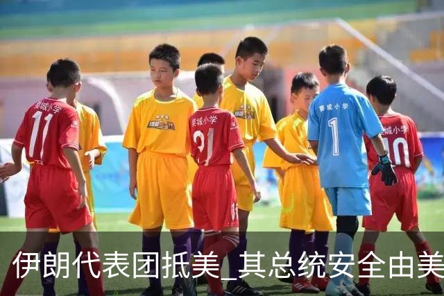 伊朗代表团抵美 其总统安全由美特勤局负责 美方设限：从开市客、山姆购物及购买奢侈品须获批准#伊朗代表团在美购物被限制