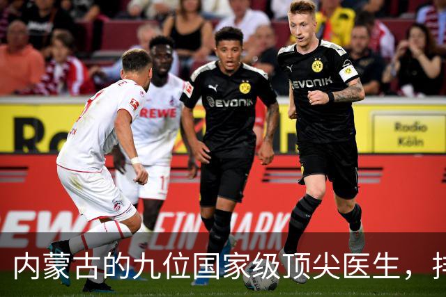 内蒙古的九位国家级顶尖医生，排名不分先后