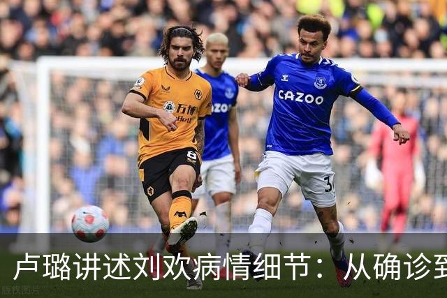 卢璐讲述刘欢病情细节：从确诊到离世，跟骨病熬了十七个年头