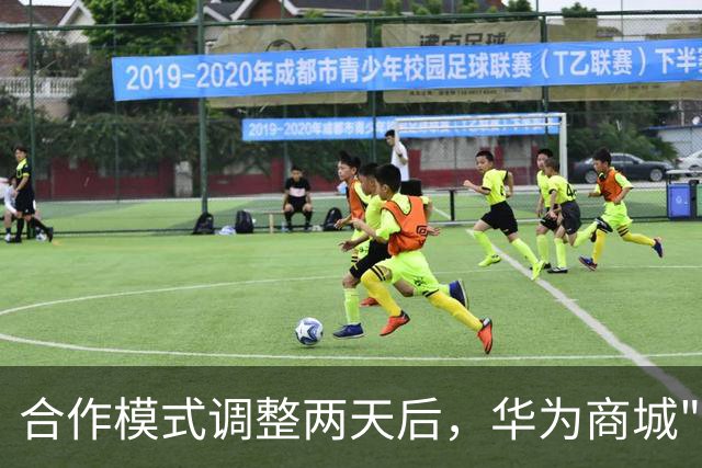 合作模式调整两天后，华为商城"五界"重新排序：问界被移至最后一位