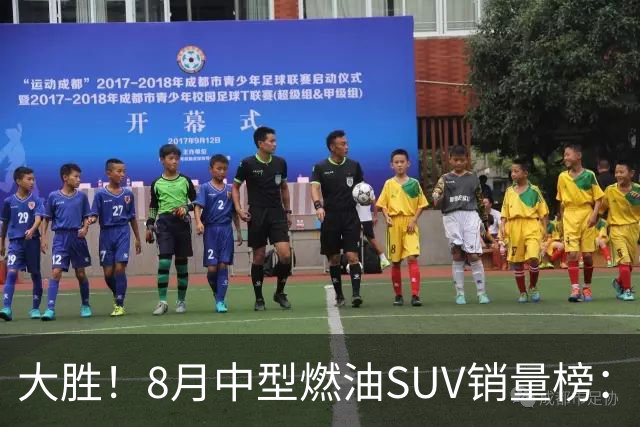 大胜！8月中型燃油SUV销量榜：探岳途观L领跑，昂科威汉兰达稳增