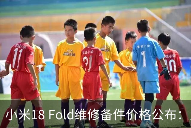 小米18 Fold维修备件价格公布：主板最高5930元