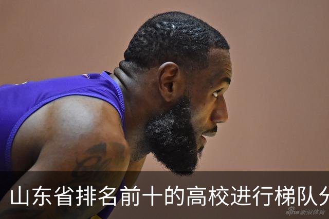 山东省排名前十的高校进行梯队分析