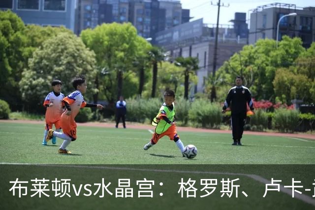 布莱顿vs水晶宫：格罗斯、卢卡-武什科维奇首发，镰田大地、亚当-沃顿出战