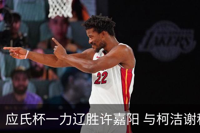 应氏杯一力辽胜许嘉阳 与柯洁谢科许皓鋐进4强