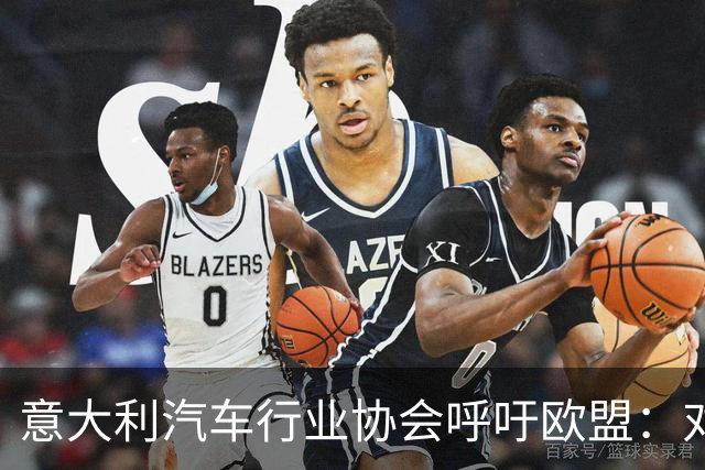 意大利汽车行业协会呼吁欧盟：对超额中国车及零部件征收80%关税