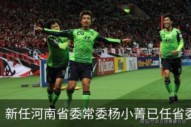 新任河南省委常委杨小菁已任省委宣传部部长