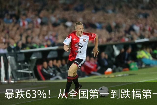暴跌63%！从全国第一到跌幅第一，民营经济第一城都经历了什么？