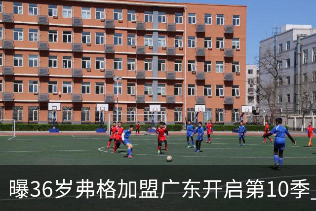 曝36岁弗格加盟广东开启第10季 曾4夺CBA总冠军