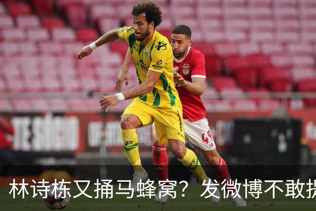 林诗栋又捅马蜂窝？发微博不敢提男单夺冠，却替队长总结男团丢冠