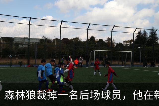 森林狼裁掉一名后场球员，他在新赛季将会加盟森林狼二队？