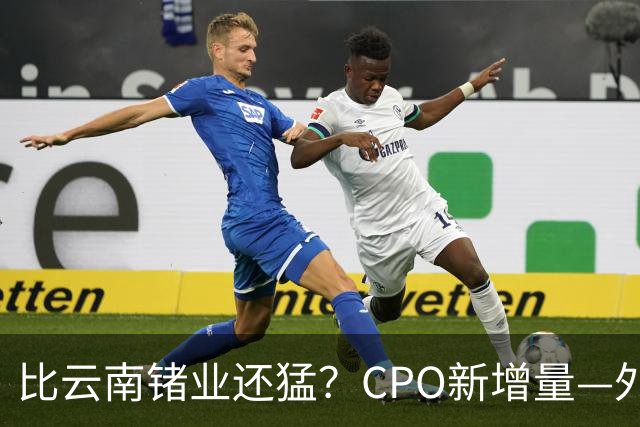 比云南锗业还猛？CPO新增量—外置激光器光源 仅这5家公司能量产