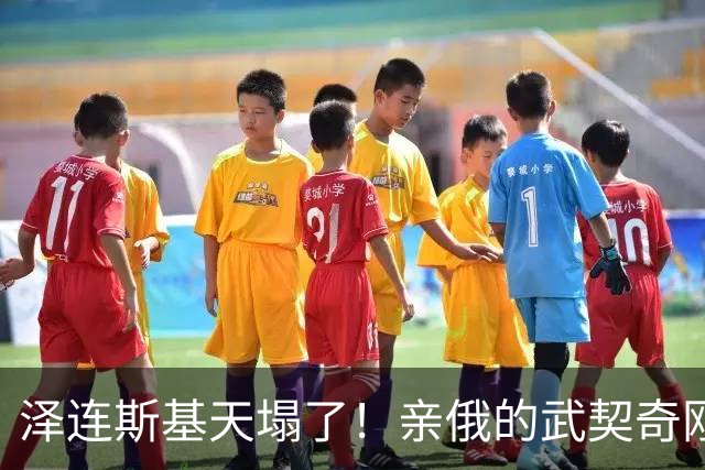 泽连斯基天塌了！亲俄的武契奇刚下台，新政府就针对乌克兰