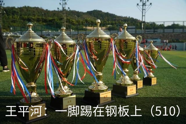 王平河：一脚踢在钢板上（5/10）