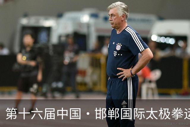 第十六届中国·邯郸国际太极拳运动大会开幕
