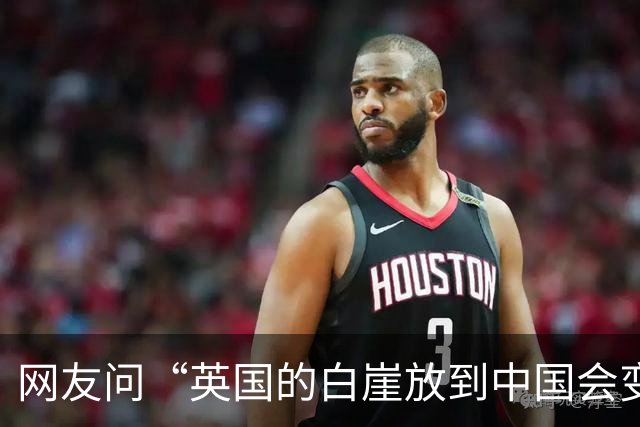 网友问“英国的白崖放到中国会变成什么样的景区？” AI生成的图片太真实了，评论区也是满级嘲讽！