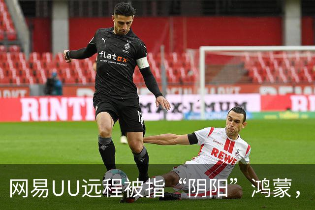 网易UU远程被指“阴阳”鸿蒙，相关动态已删除