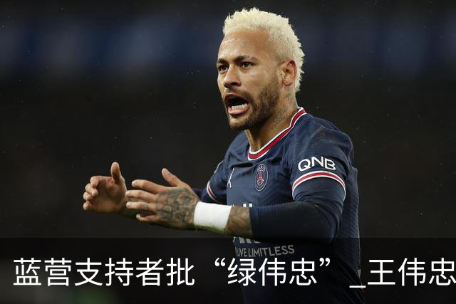 蓝营支持者批“绿伟忠” 王伟忠通过绿媒回应：只是做了一场没采访大纲的访问