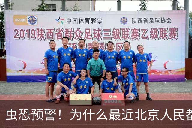 虫恐预警！为什么最近北京人民都忙着大战毛毛虫？
