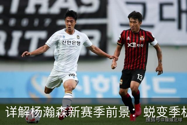 详解杨瀚森新赛季前景：蜕变季机遇与挑战并存 能否成第三中锋？