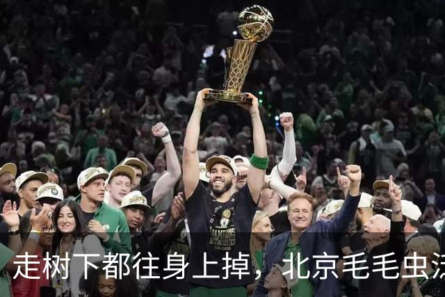 走树下都往身上掉，北京毛毛虫泛滥背后，有个更扎心的真相