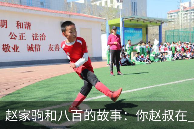 赵家驹和八百的故事：你赵叔在 你爸也在