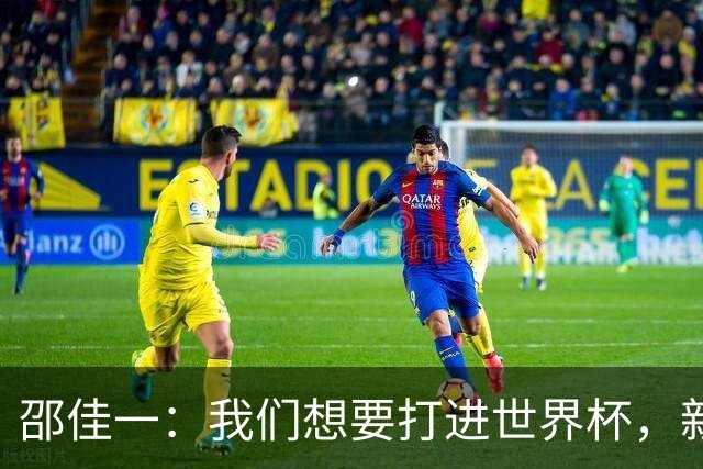 邵佳一：我们想要打进世界杯，新西兰这样的队伍是必须要赢的