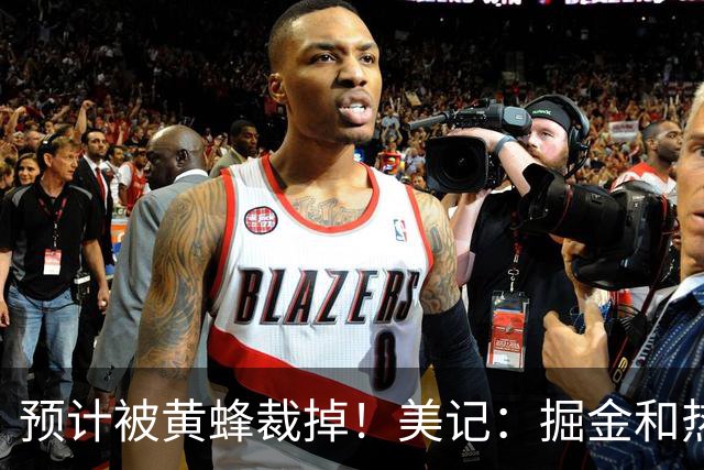 预计被黄蜂裁掉！美记：掘金和热火对瑞安·内姆哈德有一定兴趣