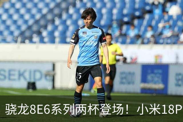 骁龙8E6系列两杯登场！小米18Pro系列不仅全球首发，还独占一款