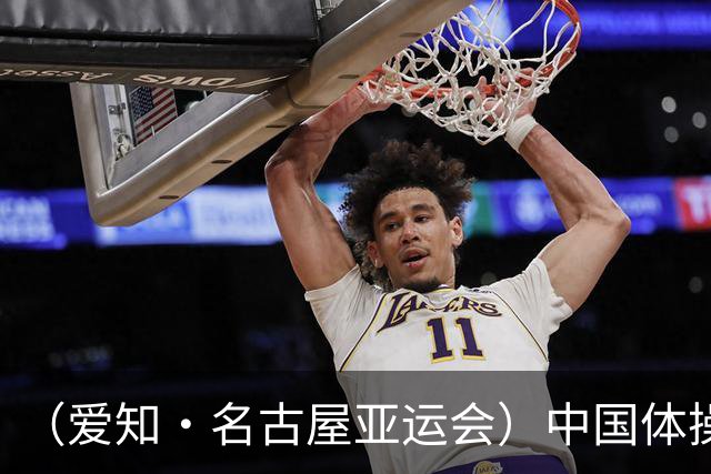 （爱知·名古屋亚运会）中国体操名将张博恒亚运会成功卫冕：全能信心“一直没丢”