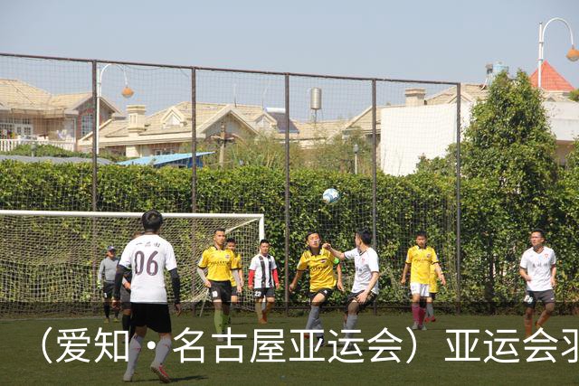 （爱知·名古屋亚运会）亚运会羽毛球收官 中国队混双夺冠