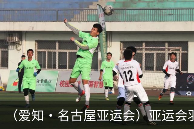 （爱知·名古屋亚运会）亚运会羽毛球收官 中国队混双夺冠