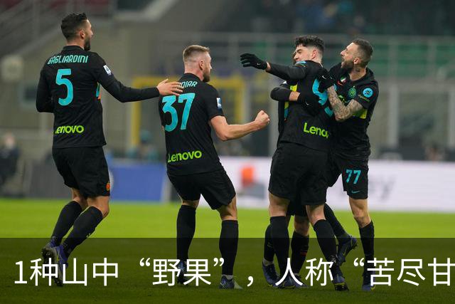 1种山中“野果”，人称“苦尽甘来”，入口苦后甘甜，营养高