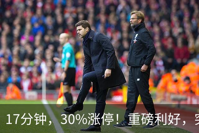 17分钟，30%涨停！重磅利好，突袭火热赛道