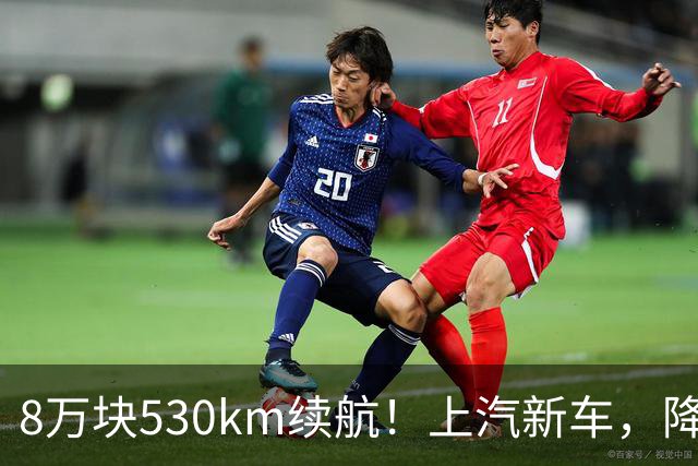 8万块530km续航！上汽新车，降价上市！