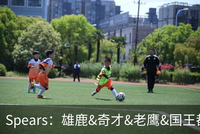 Spears：雄鹿&奇才&老鹰&国王都有兴趣先签后换引进杜伦